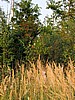 foto_001.jpg (130&nbsp;KB)