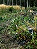 foto_002.jpg (130&nbsp;KB)