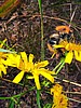 foto_005.jpg (86&nbsp;KB)
