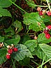 foto_013.jpg (96&nbsp;KB)