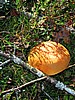 foto_014.jpg (137&nbsp;KB)