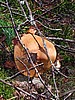 foto_016.jpg (130&nbsp;KB)