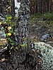 foto_017.jpg (127&nbsp;KB)