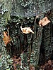foto_020.jpg (131&nbsp;KB)