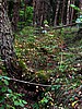 foto_021.jpg (135&nbsp;KB)