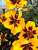 foto_023.jpg (71&nbsp;KB)