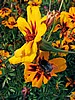 foto_024.jpg (71&nbsp;KB)