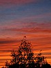 foto_027.jpg (49&nbsp;KB)