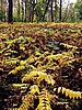 foto_031.jpg (141&nbsp;KB)