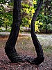 foto_038.jpg (128&nbsp;KB)