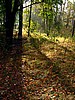 foto_039.jpg (127&nbsp;KB)