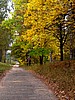 foto_040.jpg (129&nbsp;KB)