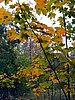 foto_042.jpg (119&nbsp;KB)