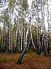 foto_049.jpg (135&nbsp;KB)