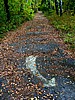 foto_056.jpg (145&nbsp;KB)