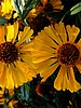 foto_059.jpg (71&nbsp;KB)