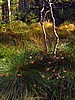 foto_061.jpg (124&nbsp;KB)