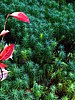 foto_064.jpg (129&nbsp;KB)