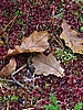 foto_065.jpg (144&nbsp;KB)