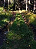 foto_067.jpg (106&nbsp;KB)