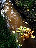 foto_068.jpg (97&nbsp;KB)