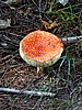 foto_072.jpg (131&nbsp;KB)