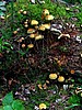 foto_073.jpg (126&nbsp;KB)