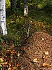 foto_074.jpg (121&nbsp;KB)