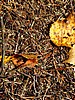 foto_075.jpg (150&nbsp;KB)