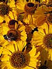 foto_077.jpg (95&nbsp;KB)
