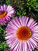 foto_078.jpg (94&nbsp;KB)