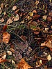 foto_082.jpg (134&nbsp;KB)