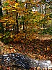 foto_083.jpg (140&nbsp;KB)