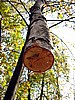 foto_086.jpg (125&nbsp;KB)