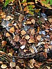 foto_089.jpg (130&nbsp;KB)