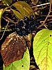 foto_107.jpg (75&nbsp;KB)