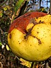 foto_111.jpg (63&nbsp;KB)
