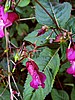 foto_112.jpg (68&nbsp;KB)