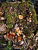 foto_113.jpg (135&nbsp;KB)