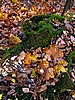 foto_114.jpg (135&nbsp;KB)