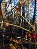 foto_115.jpg (88&nbsp;KB)