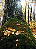 foto_118.jpg (121&nbsp;KB)