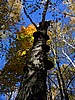 foto_119.jpg (133&nbsp;KB)