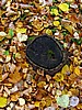 foto_120.jpg (132&nbsp;KB)