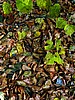 foto_123.jpg (137&nbsp;KB)