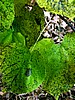 foto_124.jpg (119&nbsp;KB)