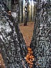 foto_129.jpg (136&nbsp;KB)