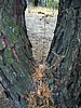 foto_132.jpg (110&nbsp;KB)