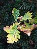 foto_133.jpg (111&nbsp;KB)