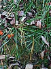 foto_134.jpg (116&nbsp;KB)